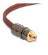 Cable RCA Focal Elite EY05